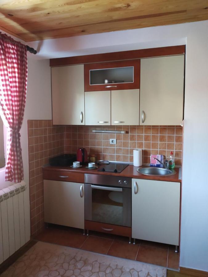Apartments Radingturs Žabljak エクステリア 写真
